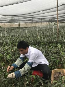 技術(shù)團(tuán)隊(duì)